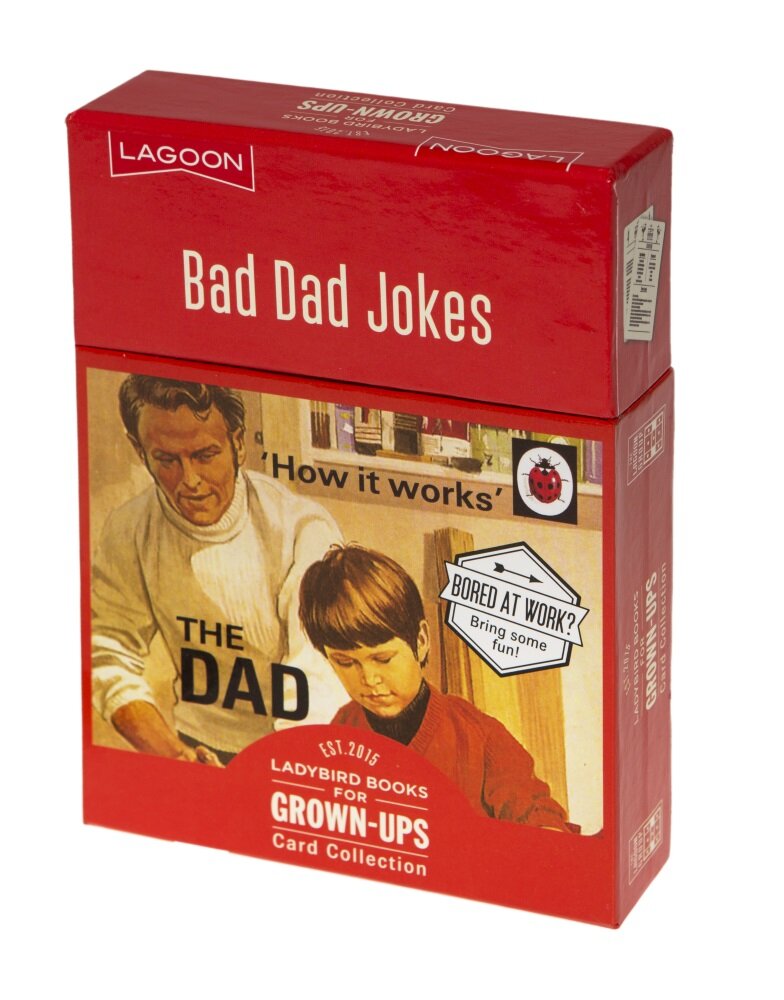 Ladybird Bad Dad Jokes