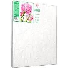 Paint By Numbers Bright Peonies