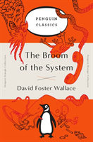 The Broom of the System