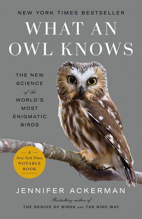 What an Owl Knows