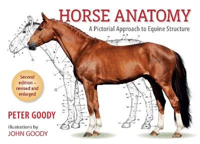 Horse anatomy - a pictorial approach to equine structure