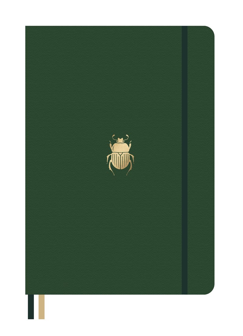 Dingbats* Pro B5 Beetle Notebook - Dotted