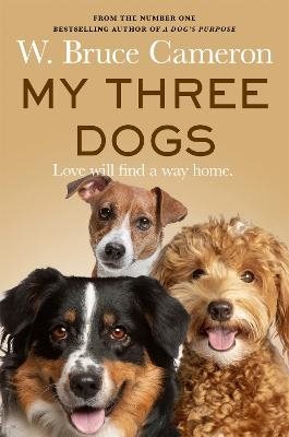 My Three Dogs