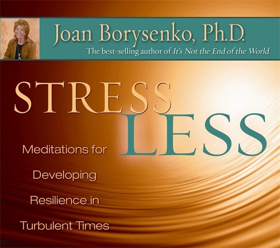 Stress Less: Meditations for Developing Resilience in Turbulent Times