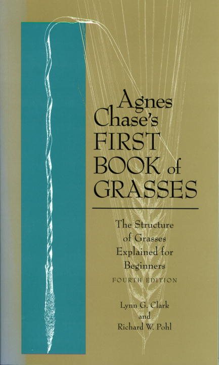 Agnes Chase