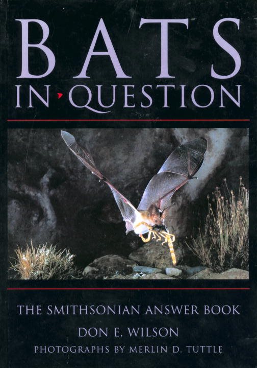 Bats In Question