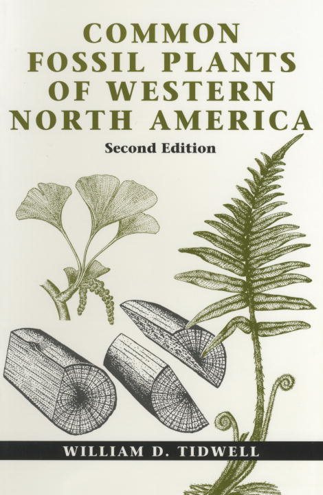 Common Fossil Plants Of Western North America - 2nd Edition