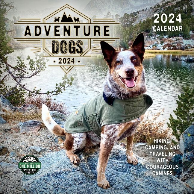 Adventure Dogs 2024 Calendar