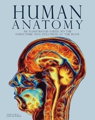 Human Anatomy