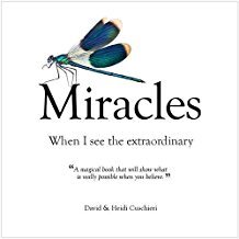 Miracles : When I See The Extraordinary