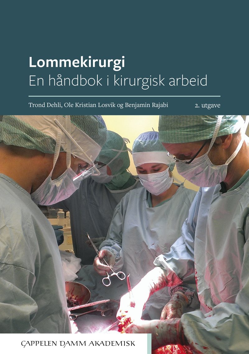 Lommekirurgi : en håndbok i kirurgisk arbeid