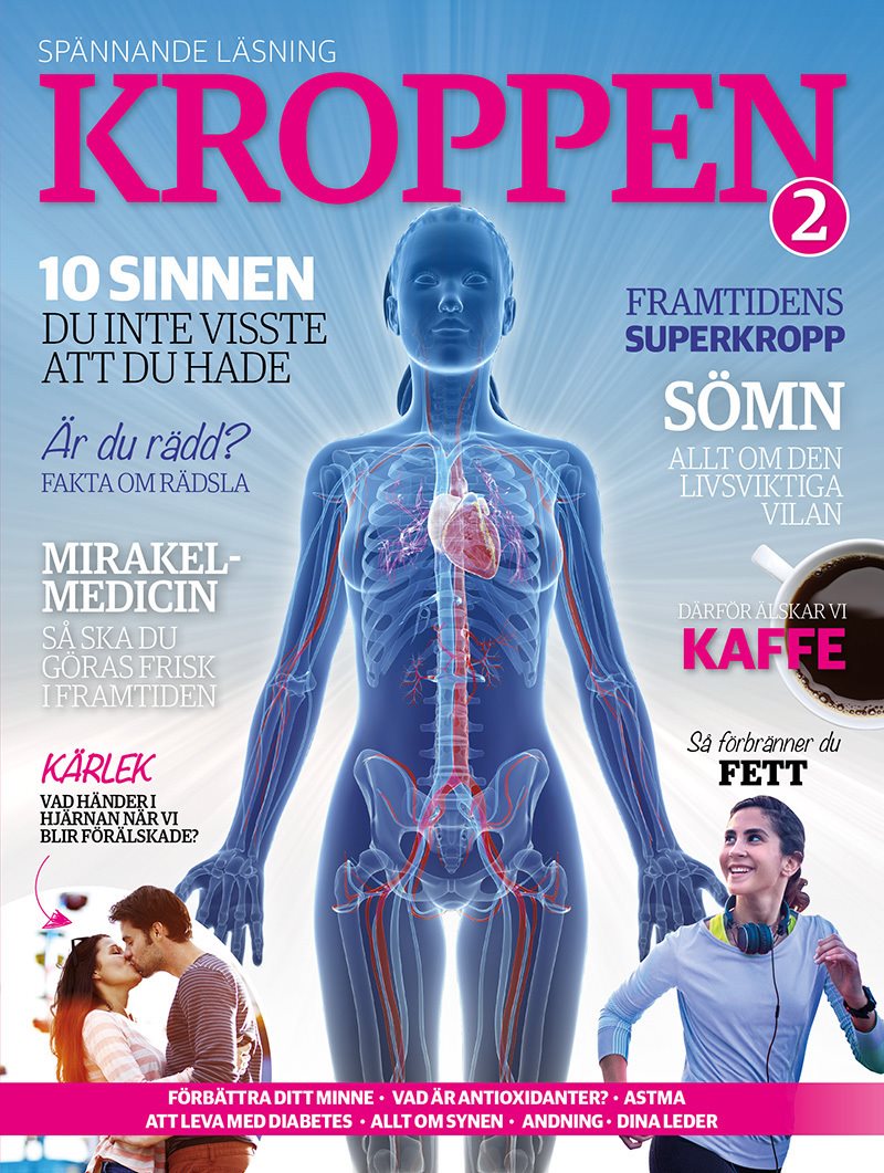 Kroppen