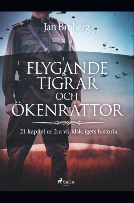 Flygande tigrar och ökenråttor : 21 kapitel ur 2:a världskrigets historia