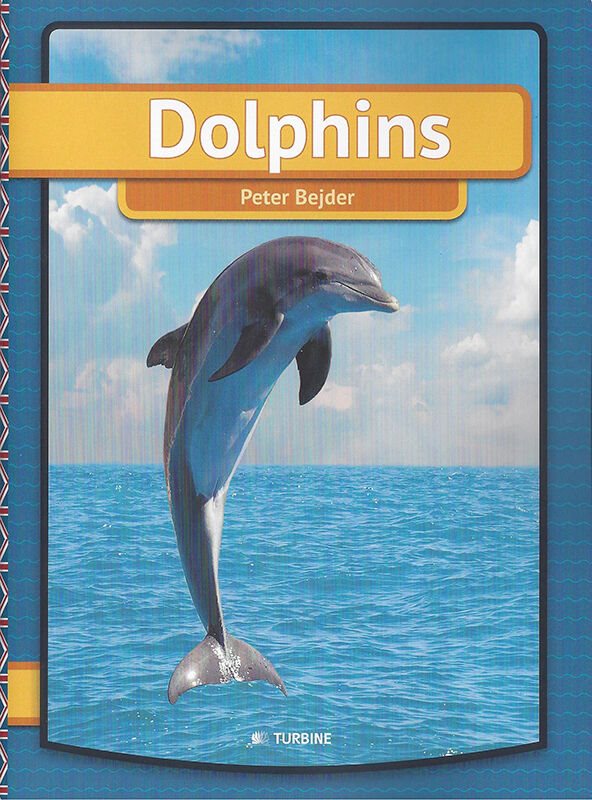 Dolphins