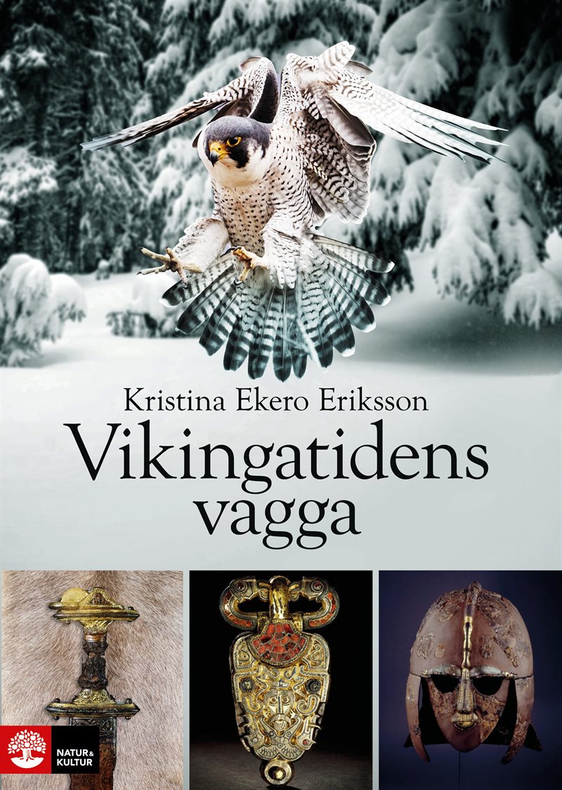 Vikingatidens vagga : i vendeltidens värld