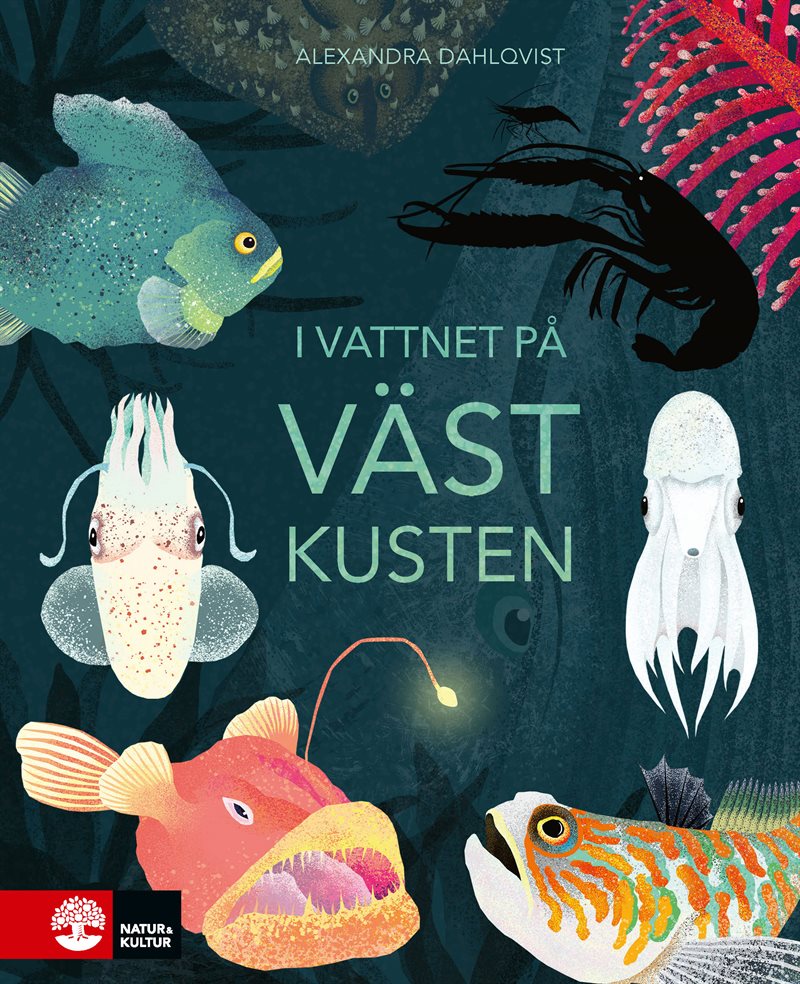 I vattnet på västkusten