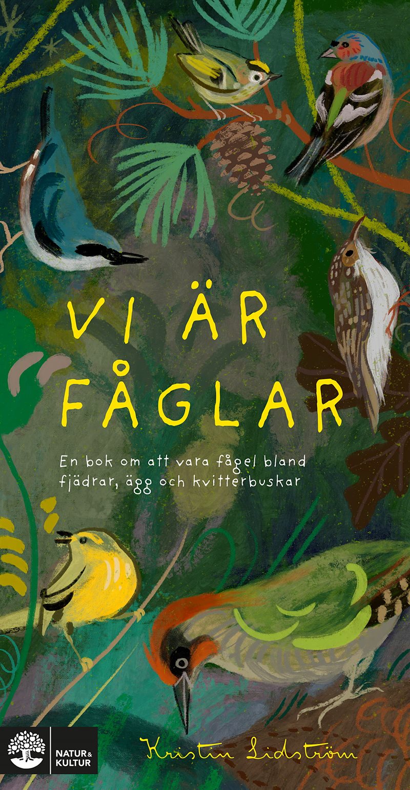 Vi är fåglar : En bok om att vara fågel bland fjädrar, ägg och kvitterbuskar