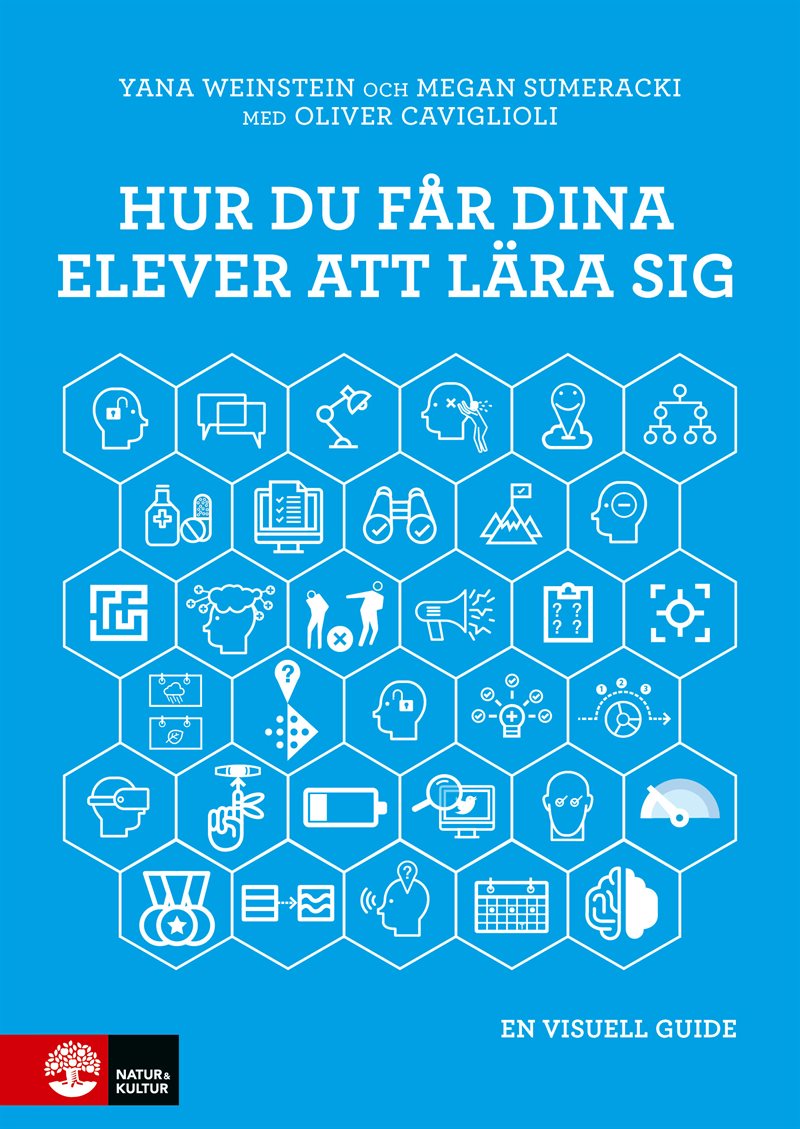 Hur du får dina elever att lära sig : en visuell guide