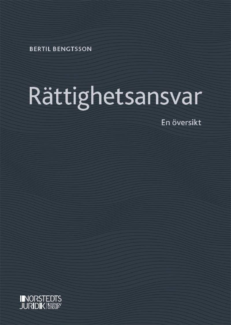 Rättighetsansvar : en översikt