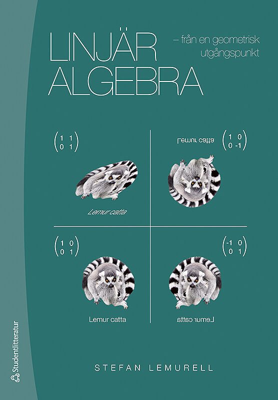 Linjär algebra : från en geometrisk utgångspunkt