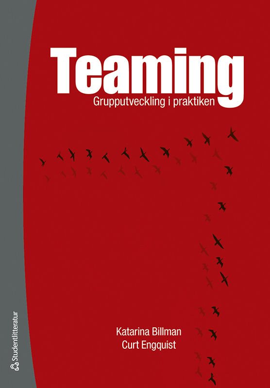 Teaming : grupputveckling i praktiken