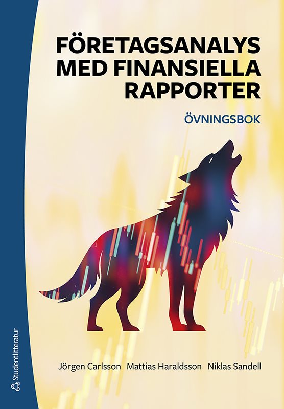 Företagsanalys med finansiella rapporter - övningsbok