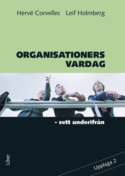 Organisationers vardag : sett underifrån