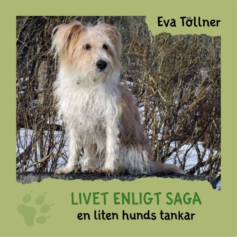 Livet enligt Saga : en liten hunds tankar