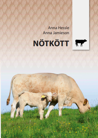 Nötkött