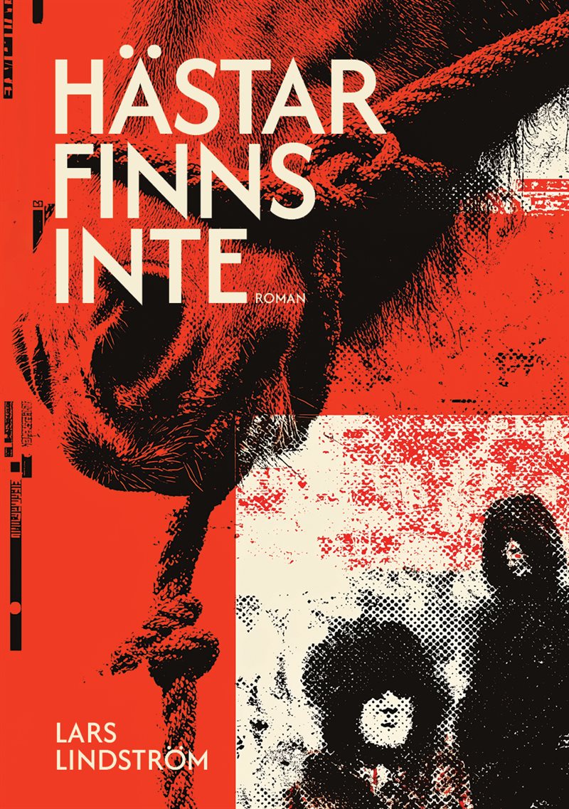 Hästar finns inte : Roman