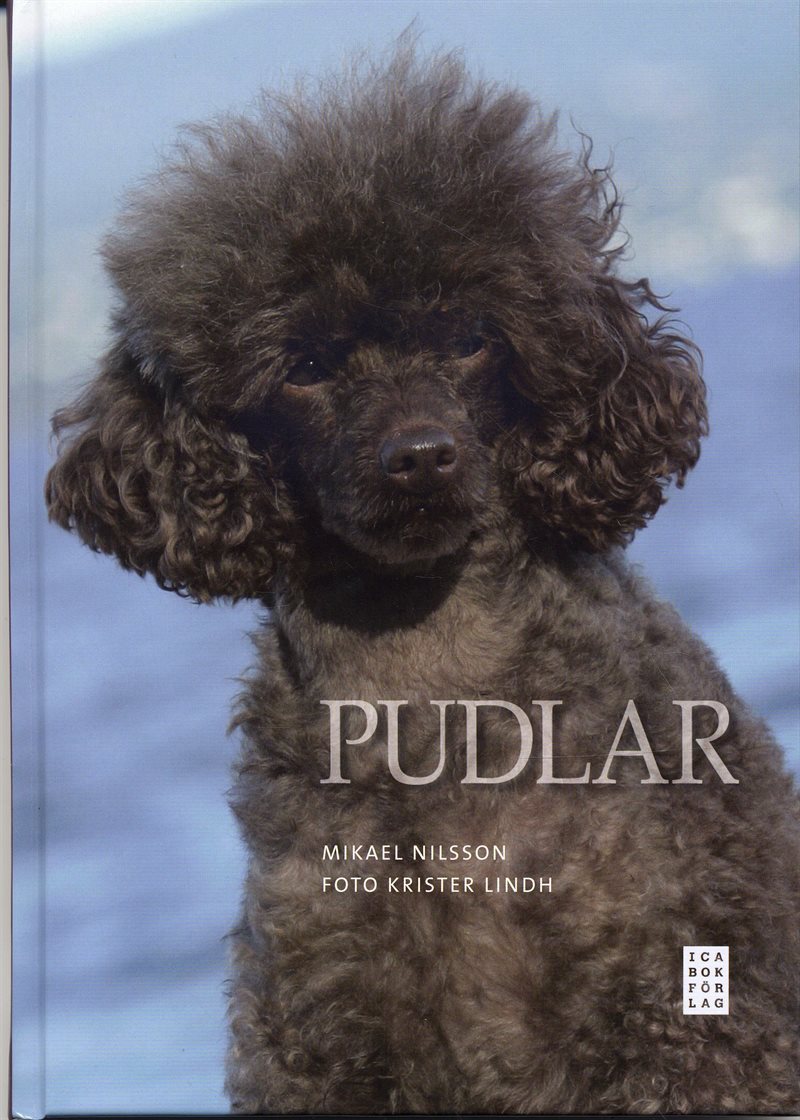 Pudlar