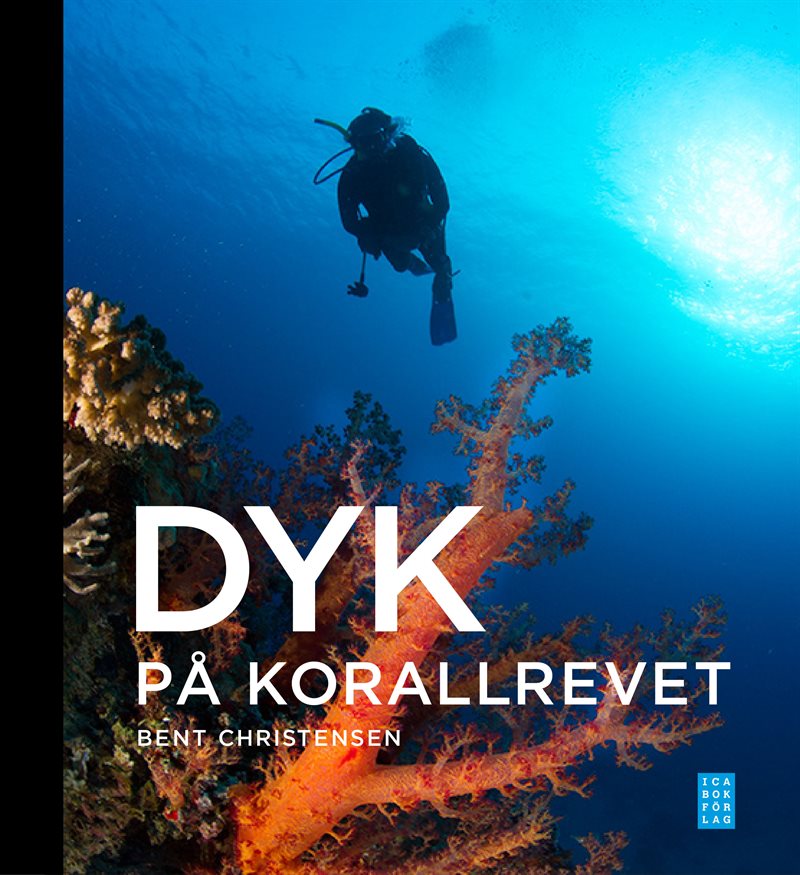 Dyk på korallrevet : revets ekologi