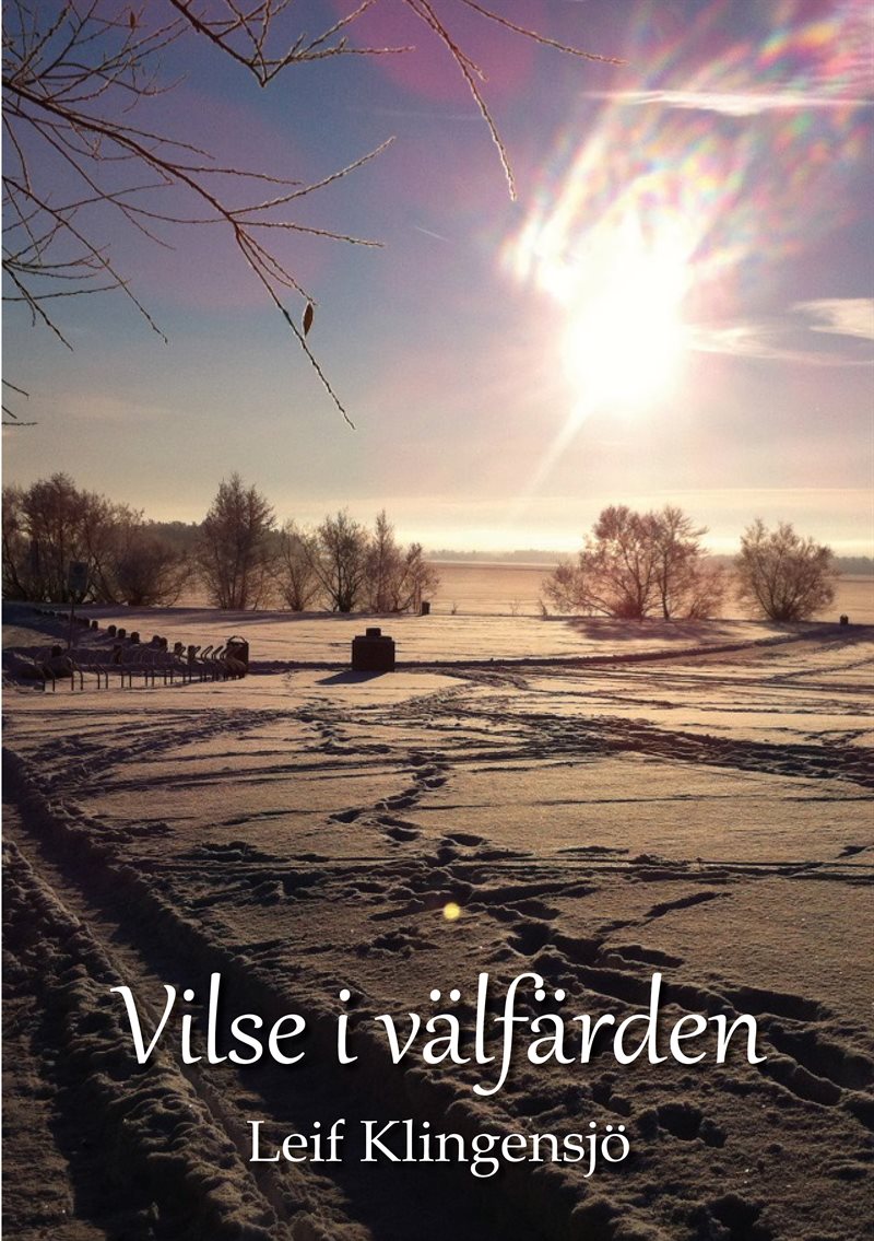 Vilse i välfärden