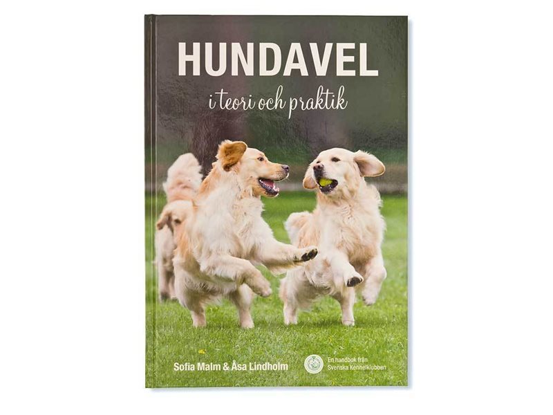 Hundavel i teori och praktik