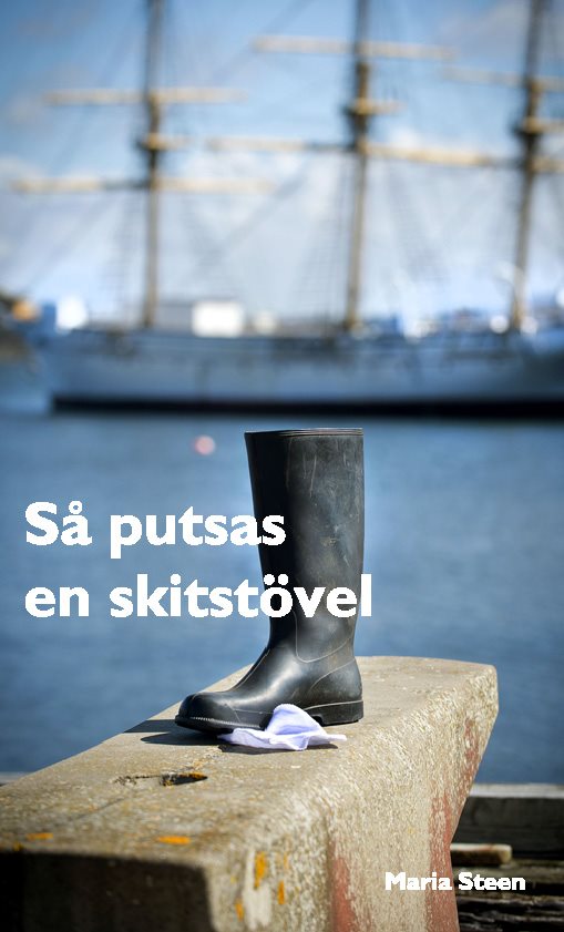 Så putsas en skitstövel