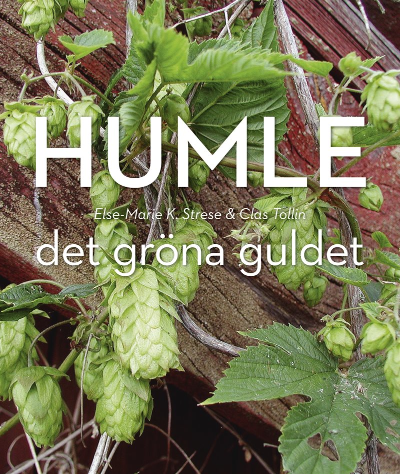 Humle : Det gröna guldet