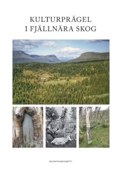 Kulturprägel i fjällnära skog