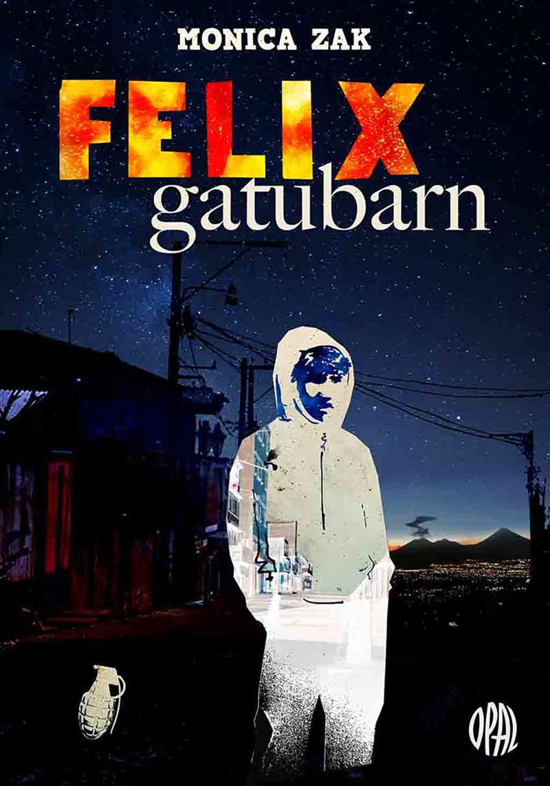 Felix gatubarn