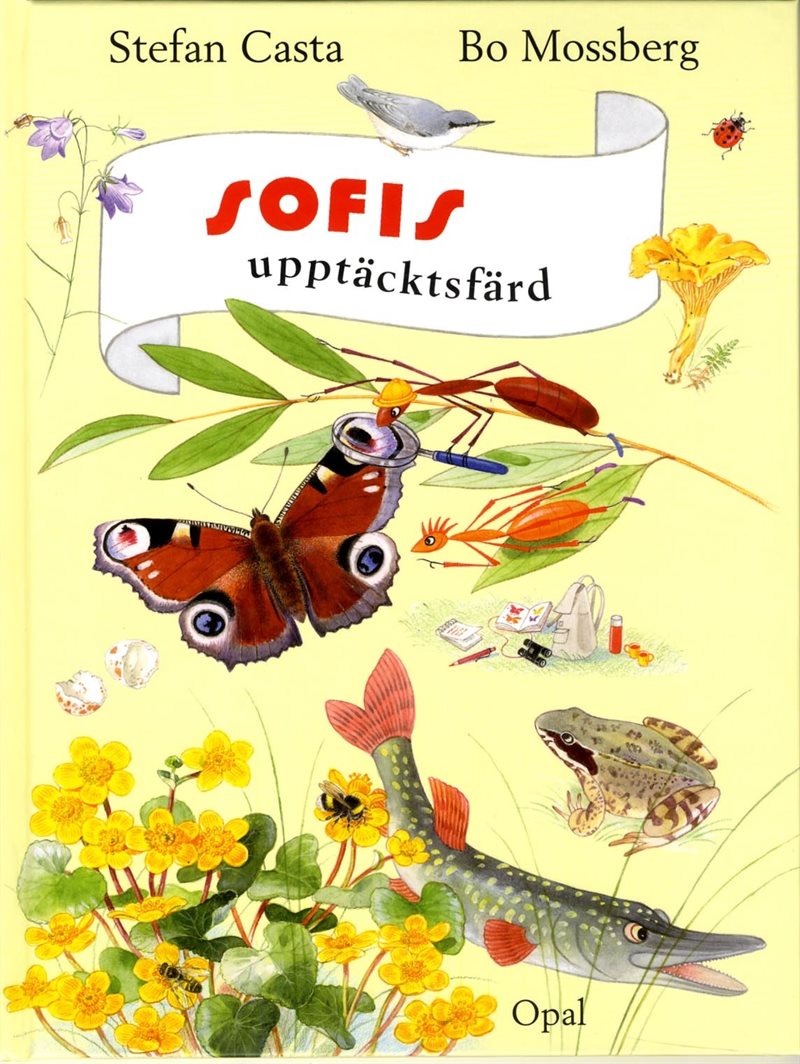 Sofis upptäcktsfärd