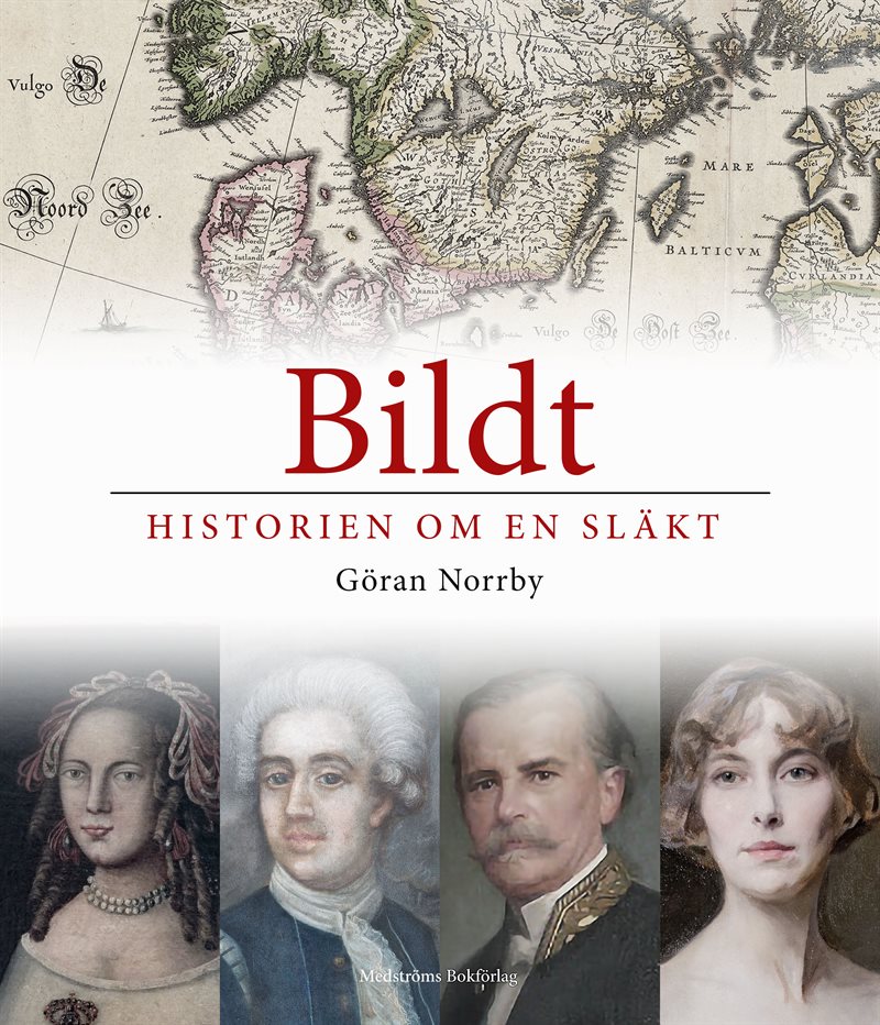 Bildt : historien om en släkt