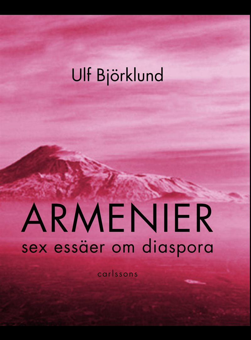 Armenier : sex essäer om diaspora