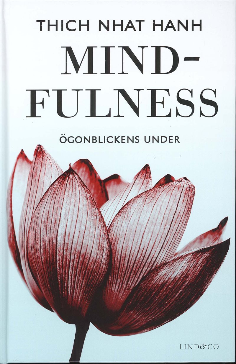 Mindfulness : ögonblickens under