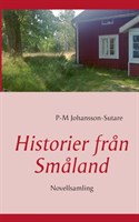 Historier från Småland : novellsamling