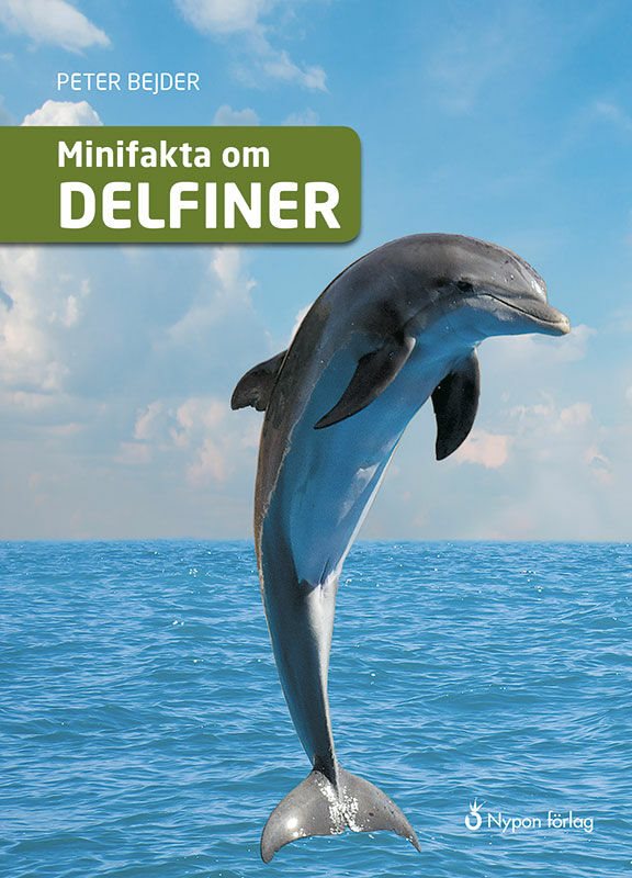 Minifakta om delfiner