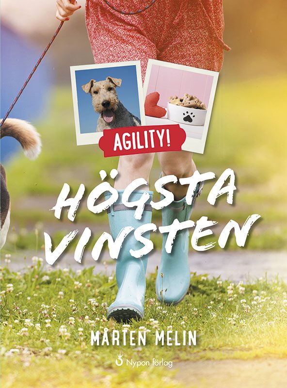 Agility! Högsta vinsten