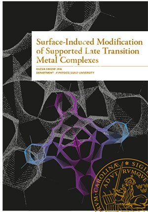Surface-Induced Modification of Supported Late Transition Metal Complexes
