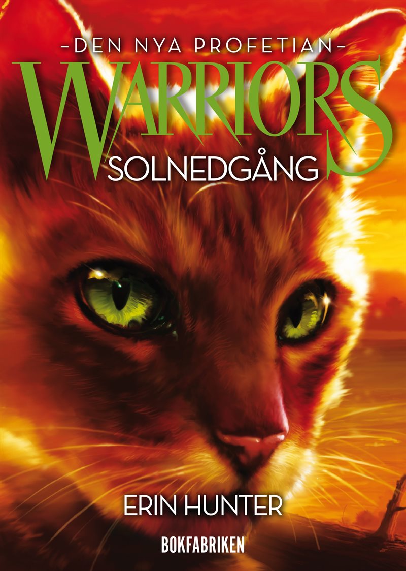 Warriors 2. Solnedgång