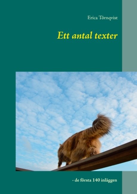 Ett antal texter : de första 140 inläggen