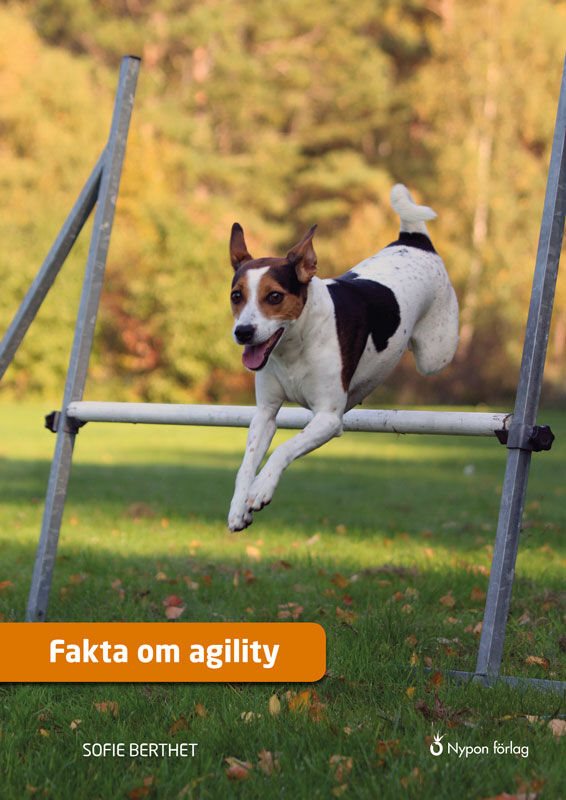 Fakta om agility