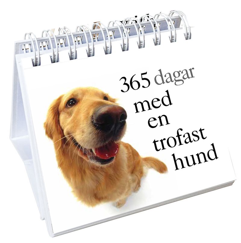 365 dagar med en trofast hund